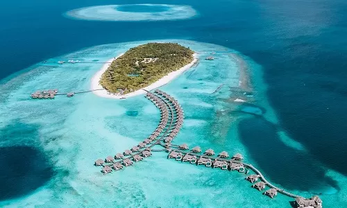 Day 3: Full-Day Excursion & Marine Life