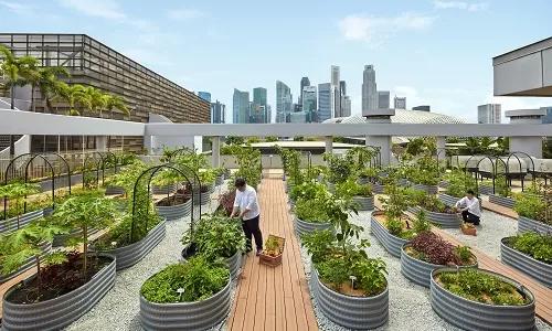 Day 4: Universal Studios