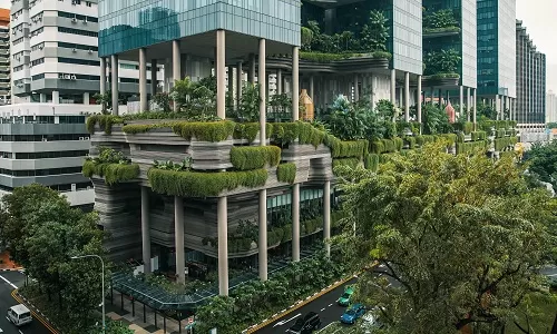 Day 6: Leisure or Optional Activities