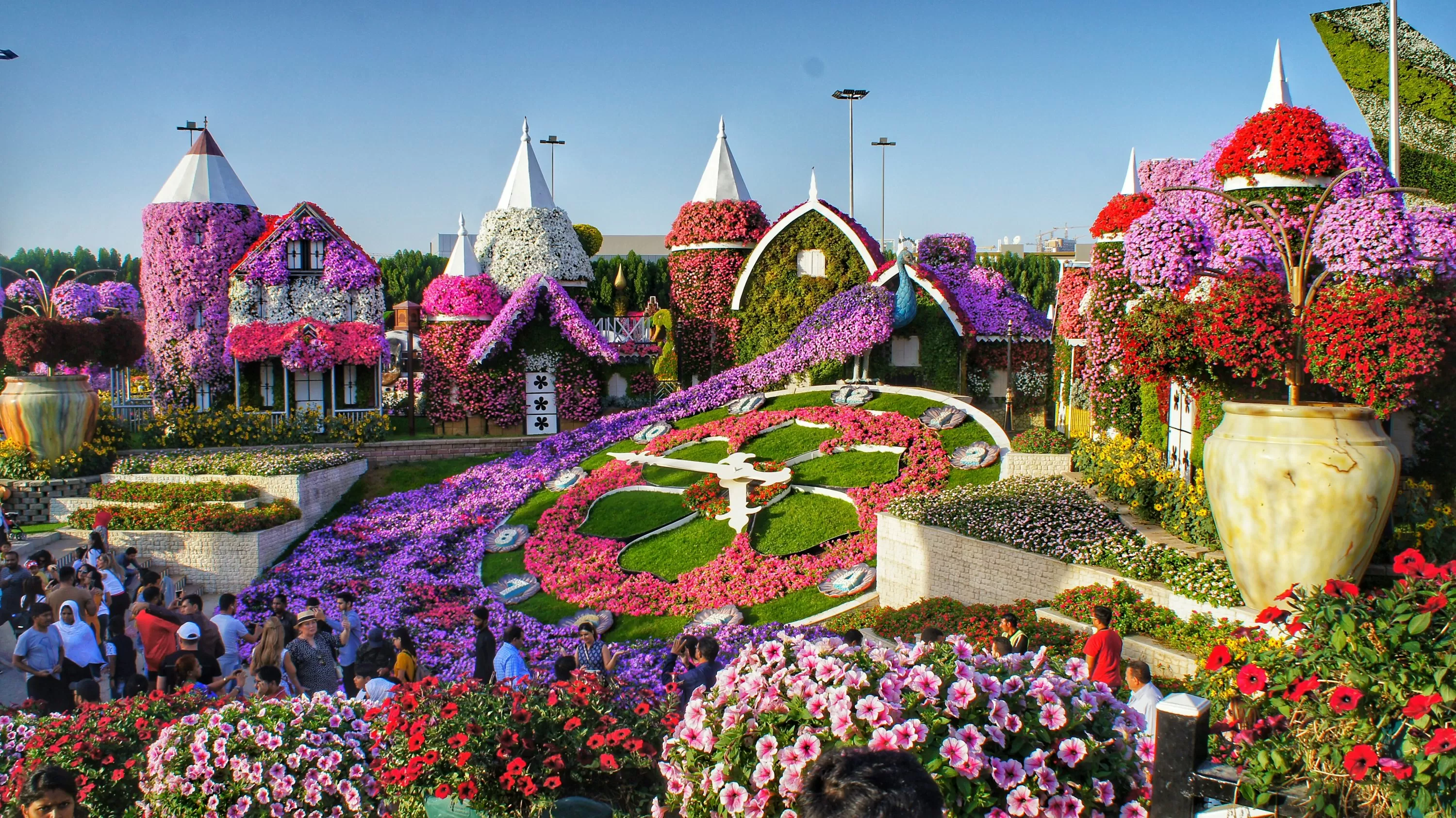 Day 6: Dubai Miracle Garden