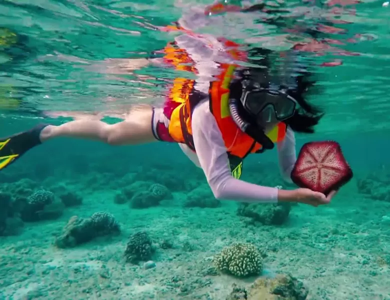 Day 2: Island Hopping & Snorkeling Adventure