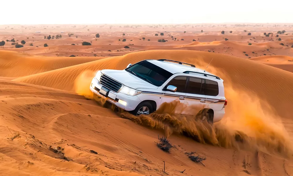 Day 4: Desert Safari with BBQ Dinner