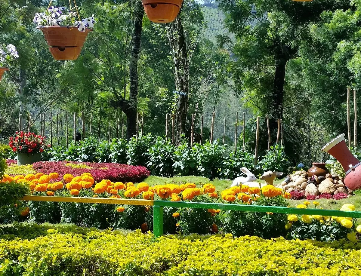 Kerala & Kanyakumari Bliss