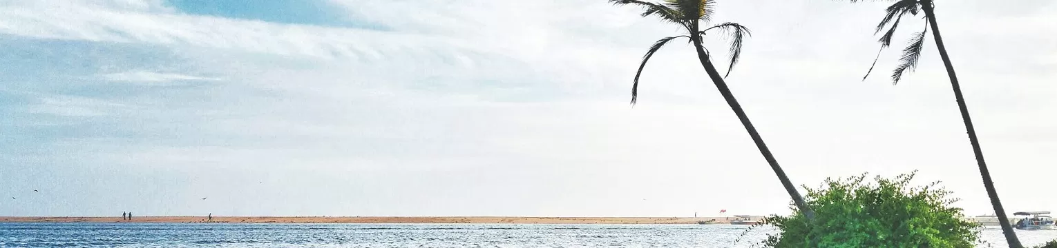 Kerala Scenic Delight