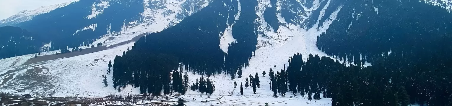 Kashmir Honeymoon Getaway