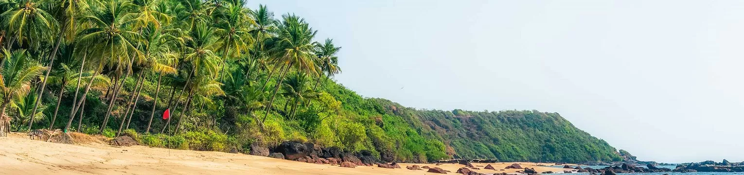 Sun-Kissed Goa Escape