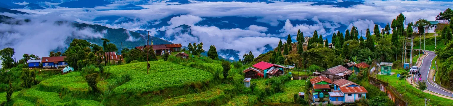 Darjeeling  Tea Estates