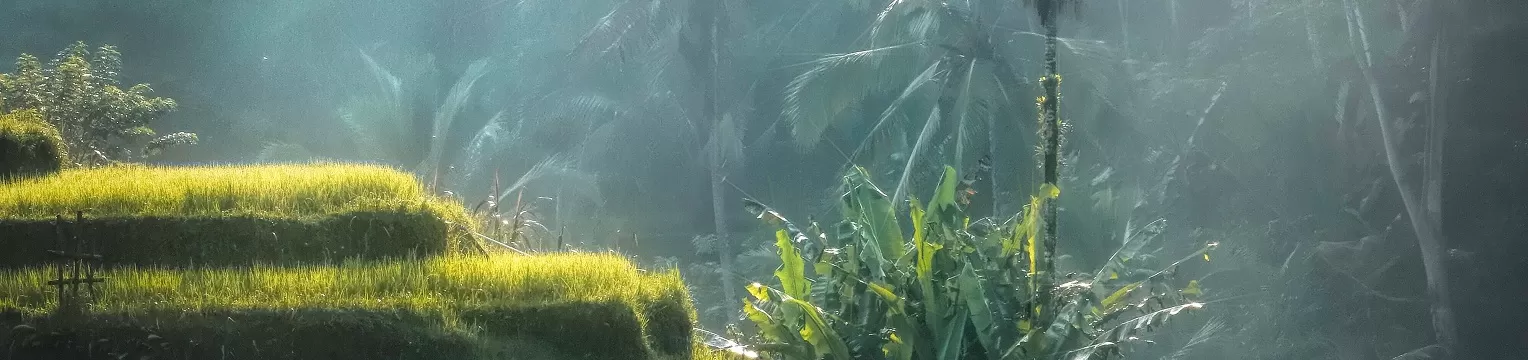 Vietnam Wonders – Group Tour