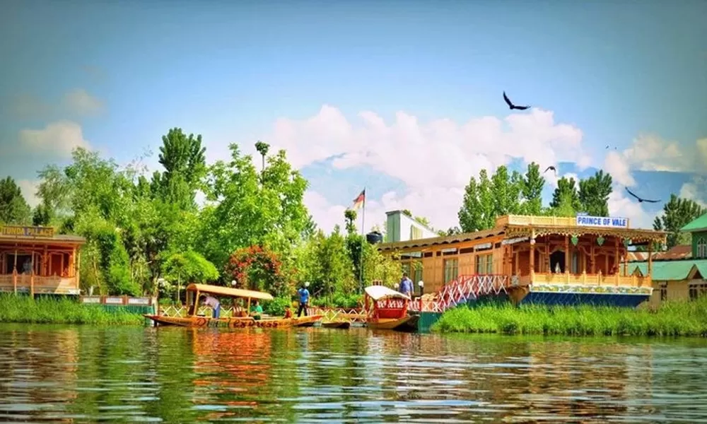 Heavenly Kashmir Delight